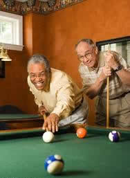 Triple E Pool League Statistics